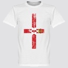 Nordirland Home 2016 - 2017