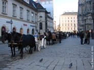 Fiaker am Stephansdom