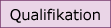EM-Qualifikation
